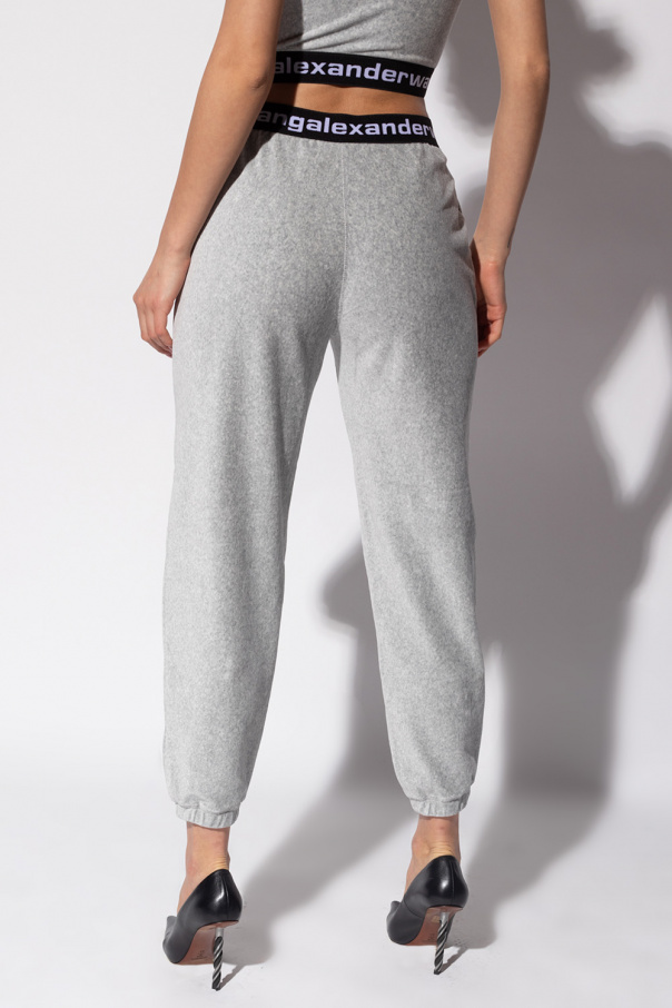 Alexander wang grey on sale sweatpants